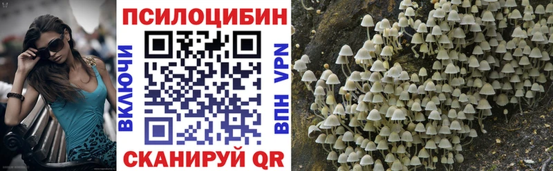 цены наркотик  Бронницы  Галлюциногенные грибы MAGIC MUSHROOMS 